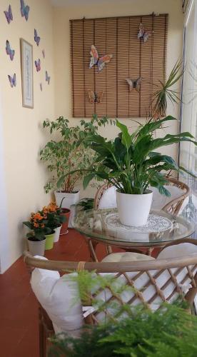 Billede fra billedgalleriet på Flor de Loto i Candeleda