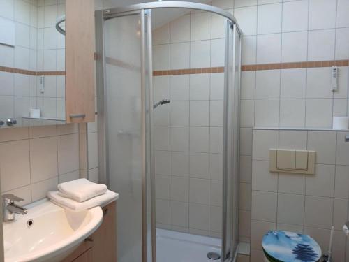 a bathroom with a shower and a sink at elegant eingerichtete Ferienwohnung in Granzow