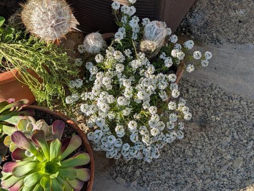 En have udenfor 3HOUSE Sol na Eira em Paredes