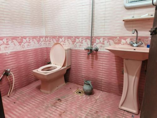 海得拉巴Safari Guest House的带马桶和水槽的粉色浴室