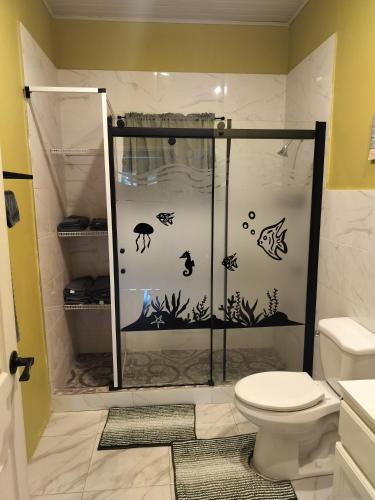 a bathroom with a shower with a toilet at Casa Azul in Geneva