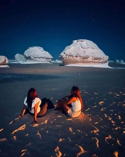 Over night camping at white desert ,Two days safari trip