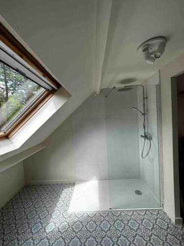 an attic bathroom with a shower with a window at Le clos des tirons in Chambon-sur-Cisse