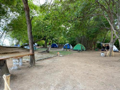 un gruppo di tende in un campo con alberi di Flor de Lótus Camping a Japaratinga