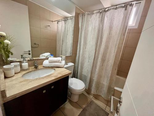 a bathroom with a sink and a toilet and a shower at Alojamiento Entero en Centro de Viña del mar in Viña del Mar