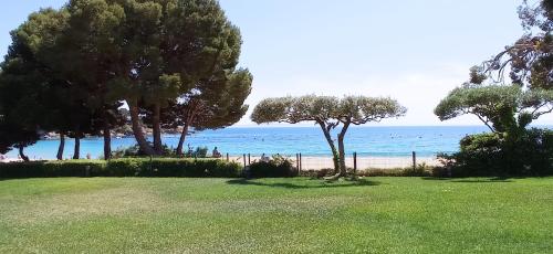 Bel appartement bord de plage