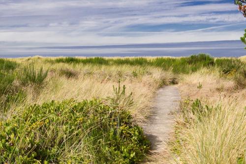 a dirt path through a field of tall grass at The Tides in Seaside