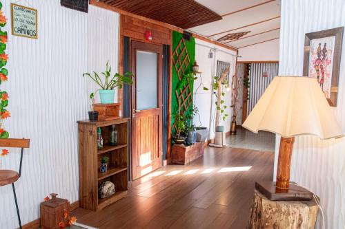 a living room with a lamp and plants on the wall at EcoHotelTDF in Río Grande