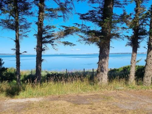 a view of the water from between two trees at 6 person holiday home in Farsø in Farsø