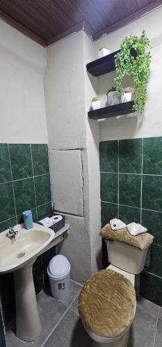 ein grün-weißes Bad mit einem Waschbecken und einem WC in der Unterkunft View House Inn in Alajuela