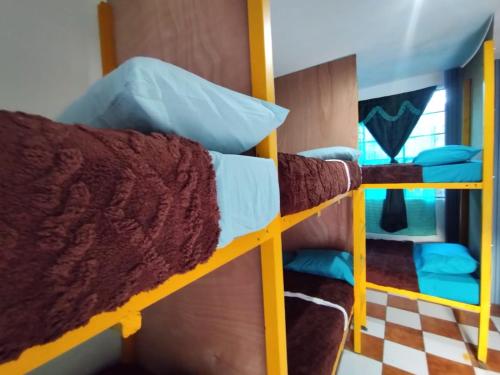 سرير بطابقين أو أسرّة بطابقين في غرفة في Nawal Hostel