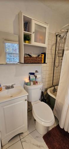 ein weißes Badezimmer mit Toilette und Waschbecken in der Unterkunft Vintage Eastside Beltline Trail Apartment by Krog St Market with Free Parking in Atlanta