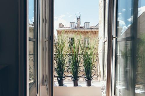 a window with potted plants on a balcony at Appartement T4 cours de l'intendance in Bordeaux