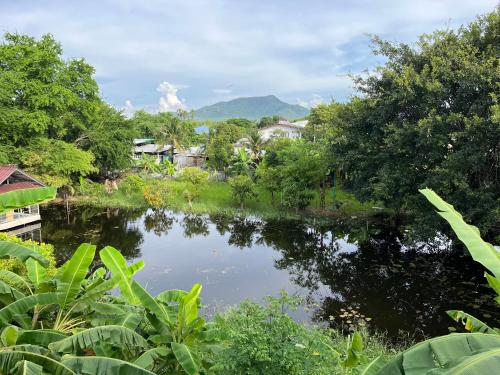 来兴府The Terrace Homestay Resort的享有河流树木和房屋的景色