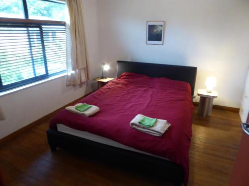 Un pat sau paturi într-o cameră la Dragon's den