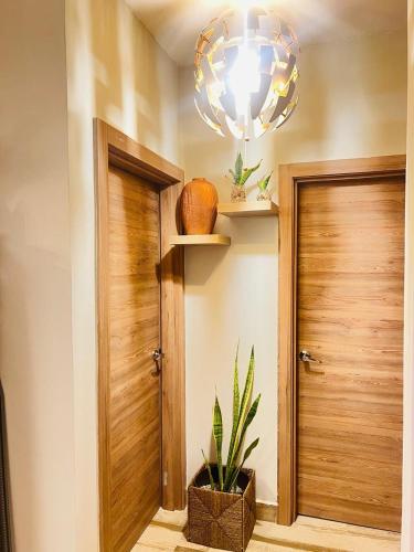 蓬塔卡纳Habitación en Casa Familiar con Baño Privado en Punta Cana的走廊上设有木门和盆栽植物