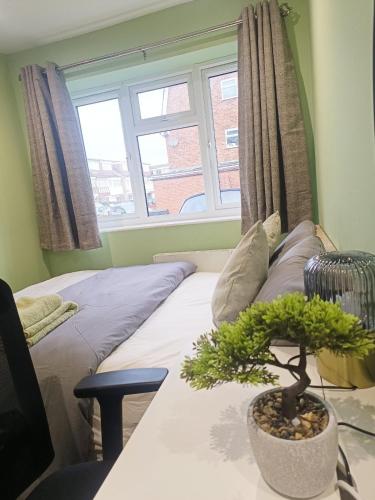 a plant sitting on a table next to a bed at Cosy Private Room in Greater London Easy Access to City & Excel in London