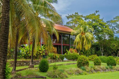 a house with palm trees in front of it at Jodokus Inn in Montezuma