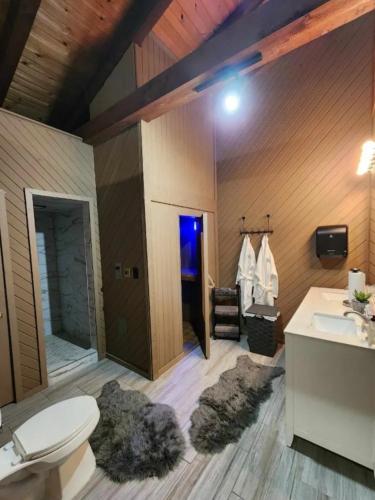 a bathroom with a toilet and a sink at Couples Guesthouse, jacuzzi, sauna, pool in Merrillville