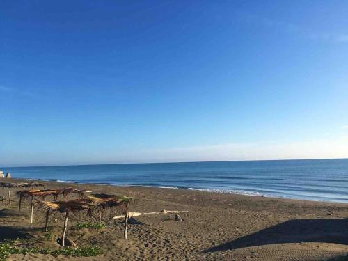 Φωτογραφία από το άλμπουμ του House on the sea - Casa del Cangrejo Azul σε Monte Gordo