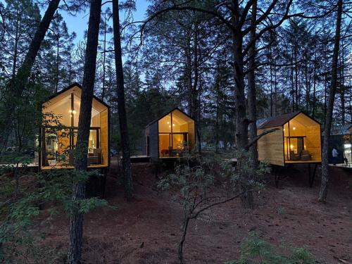 two small houses in the woods at night at BosqueCielo Cabañas Diseño Natural Arte Galeria in Huasca de Ocampo