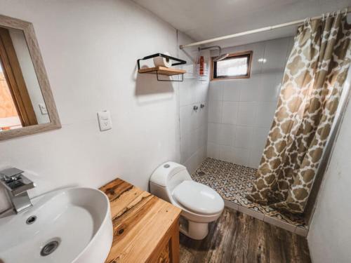 un bagno con lavandino, WC e doccia di BosqueCielo Cabañas Diseño Natural Arte Galeria a Huasca de Ocampo