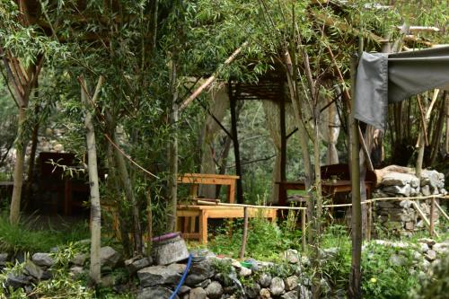 Un jardín fuera de Balti hostel turtuk