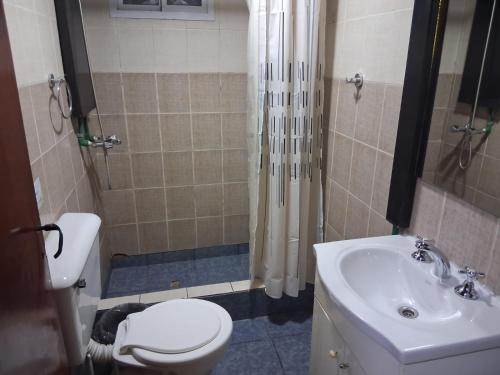 un bagno con doccia, WC e lavandino di Hostel Lagos del Sur a El Chalten