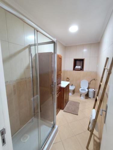 a bathroom with a shower and a toilet at Casa do Retornado in Covas do Barroso