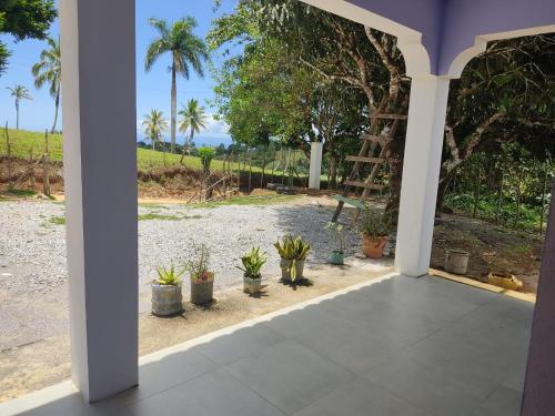 een veranda met potplanten en een ladder bij Hermosa casa de campo in Juana Vicenta