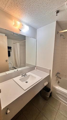 a bathroom with a sink and a mirror at Confederation Inn in Saskatoon