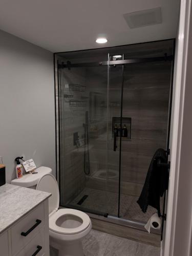 a bathroom with a toilet and a glass shower at Janets Cove in Medford