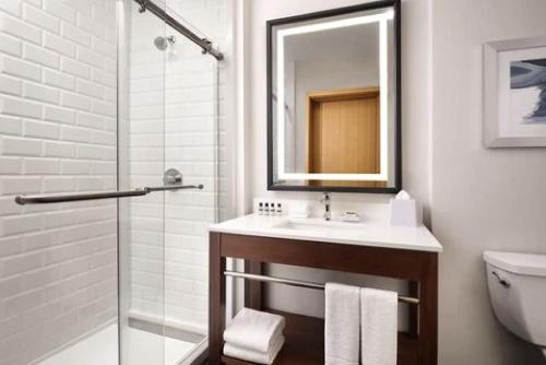 罗克斯普林Clarion Hotel Rock Springs-Green River的带水槽和带镜子的淋浴的浴室