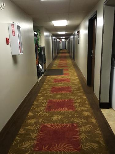 un pasillo de un edificio de oficinas con alfombra en Becker inn & Suites en Becker