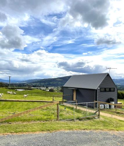 a barn in a field with horses in the background at NEW Luxury Cabin with Scenic Views & Farm Charm in Huonville