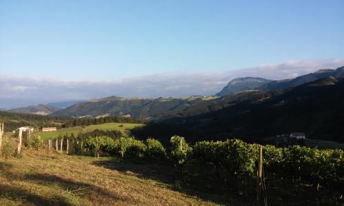 a view of a vineyard with mountains in the background at Agroturismo Erlete Goikoa -ESTAMOS EN EL CAMINO DE SANTIAGO -WE ARE ON THE CAMINO DE SANTIAGO in Deba