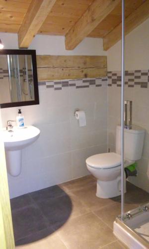 a bathroom with a toilet and a sink at Agroturismo Erlete Goikoa -ESTAMOS EN EL CAMINO DE SANTIAGO -WE ARE ON THE CAMINO DE SANTIAGO in Deba
