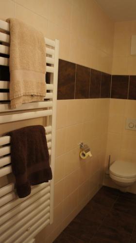 a bathroom with a toilet and a towel at Bergblick in Finkenberg