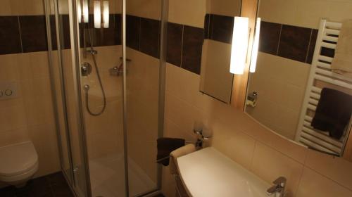 a bathroom with a shower and a toilet and a sink at Bergblick in Finkenberg