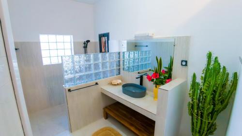 luxury villa in Nosy Be Ambaro في Ambaro: حمام مع حوض ومرآة وصبار