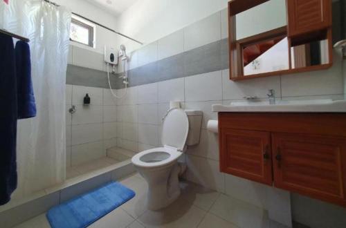a bathroom with a toilet and a shower and a sink at Oasis Apartment in Pereybere