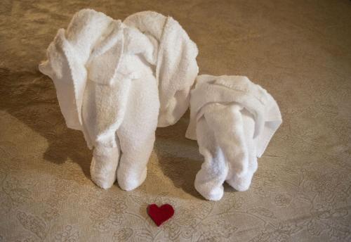 Torre CapraraにあるHotel Palaghiaccioのギャラリーの写真