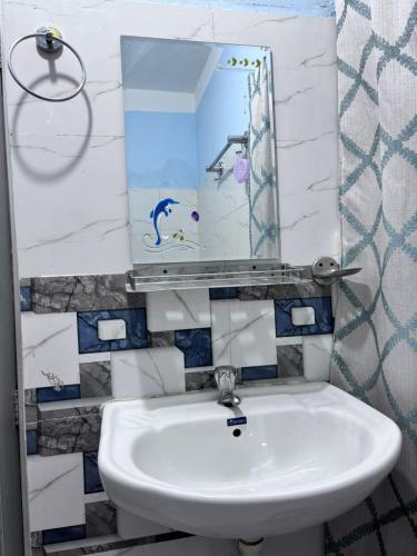 a bathroom with a sink and a mirror at Hotel Syangbo Brothers in Kathmandu