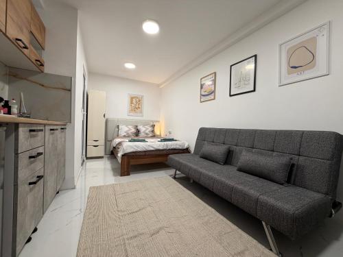 Botev MiniHub Hub 2 Modern Studio at Botev 88