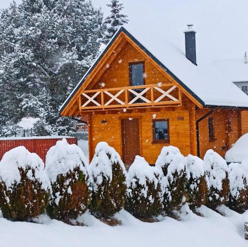 Drevenička Rybička