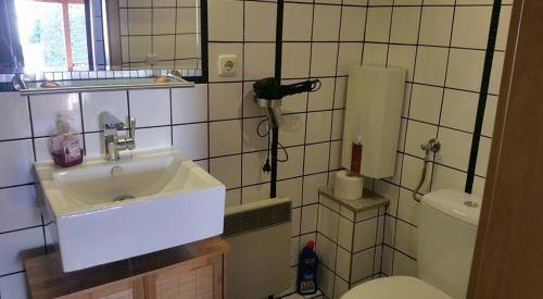 ein Bad mit einem Waschbecken und einem WC in der Unterkunft Haus Hazienda in Briedel