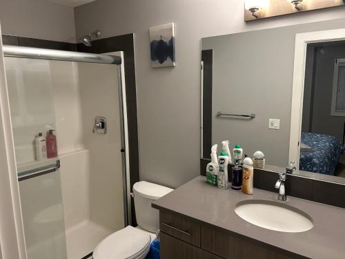 a bathroom with a sink and a toilet and a mirror at Family friendly home at Chappelle garden in Edmonton