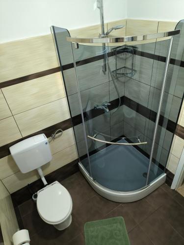 a bathroom with a shower and a toilet at Apartment Tomas,,,Spacious house with private parking,terrace,5G Internet,,,,, in Zadar