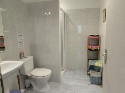 莫雷勒斯Gîte Lavande - Gîtes Au Bas Marais的浴室里有马桶、洗手池和淋浴。