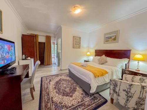 a bedroom with a bed and a desk and a television at Miyanwe Guest House - Waterkloof in Pretoria